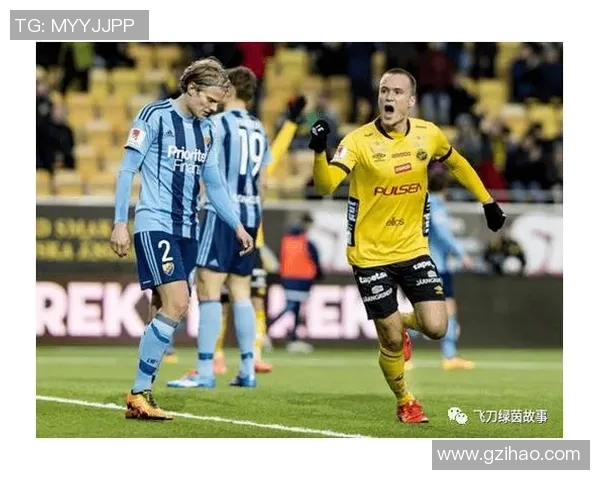 赫尔辛堡主场迎战卡尔马爱彩全力争胜的精彩对决分析