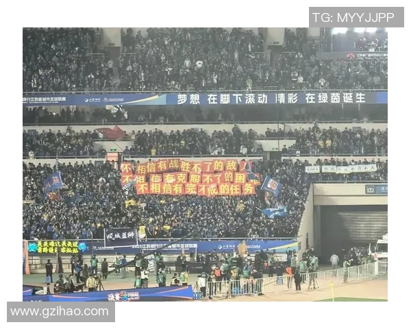 深圳足球队在联合会杯中的拼搏历程与荣耀时刻全景回顾