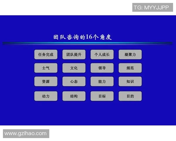 广州排球队团队协作的独特优势与其他球队的深度对比分析