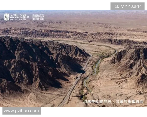 国际邀请赛特别报道：FPX战队重塑自我迎接新挑战的转型之路