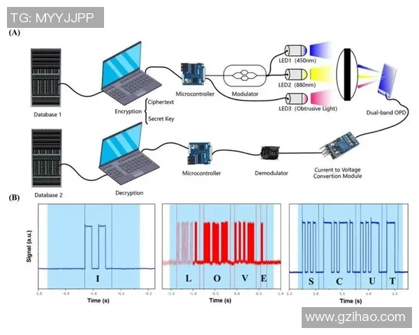 深入分析FPX在CSGO中的战术布局与团队协作策略
